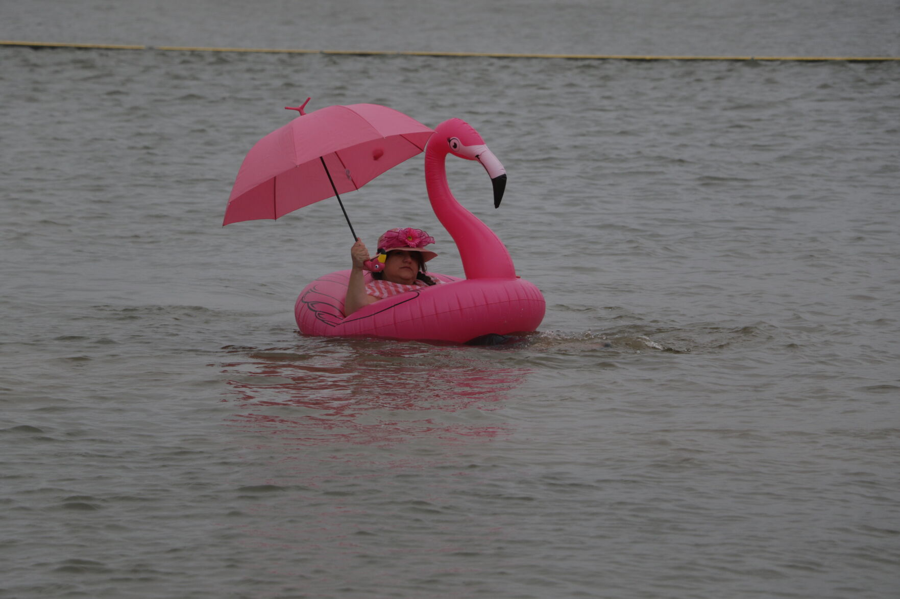 Polar Plunge